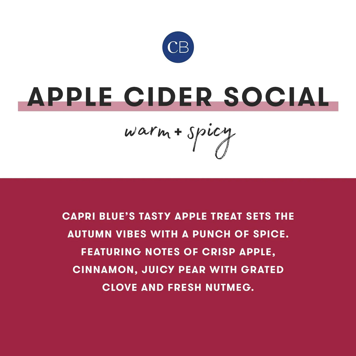 Apple Cider Social Glimmer Mini Tin Candle with warm spicy scent featuring apple, pear, cinnamon, clove, and nutmeg