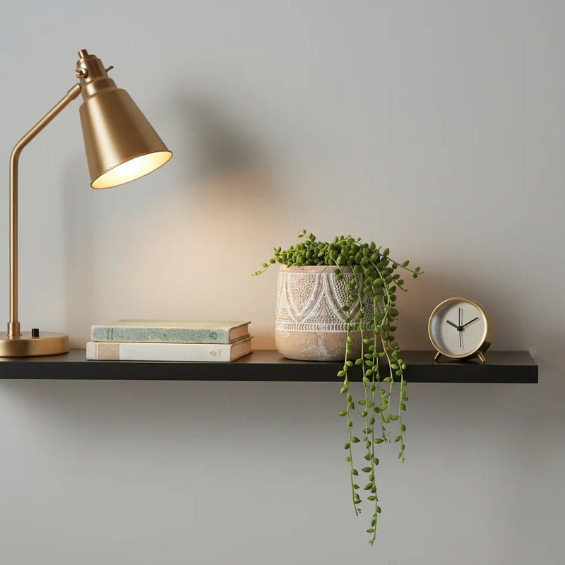 Boho embossed terracotta planter with brass gooseneck lamp