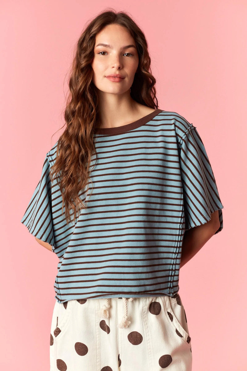 A soft light blue and dark brown yarn dyed stripe round neck tee with short sleeves and a relaxed fit
