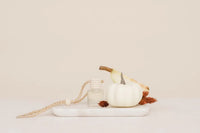 White ceramic pumpkin car diffuser with smooth glossy finish and dark brown stem refillable luxury car air freshener