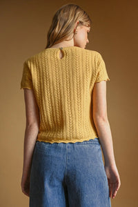 Yellow pointelle short sleeve knitted top featuring a cable knit pattern and scalloped hem design