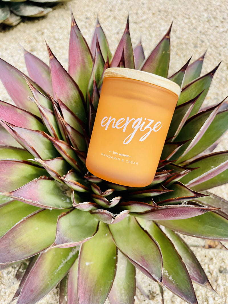 Bottle of orange juice on a plant beside Energize Mandarin Cedar Mini Candle