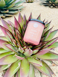 Bottle of pink pepper on a plant with Peony Petals Mini Candle displayed elegantly