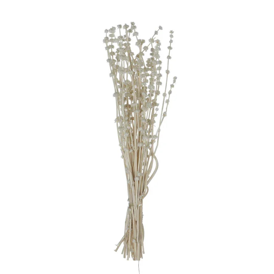 Bundle of dried natural lion’s tail stems tied together for decorative use