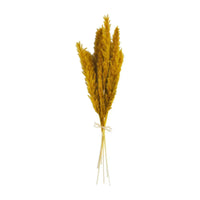 Bundle of dried yellow pampas grass tied with twine for exquisite pampas grass decor