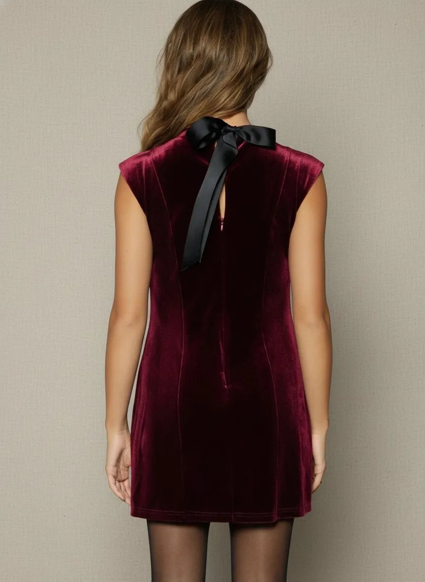 ADORNED VIRTUE VELVET MINI DRESS BURGUNDY PLUM / LARGE ADORNED VIRTUE VELVET MINI DRESS BURGUNDY PLUM / LARGE