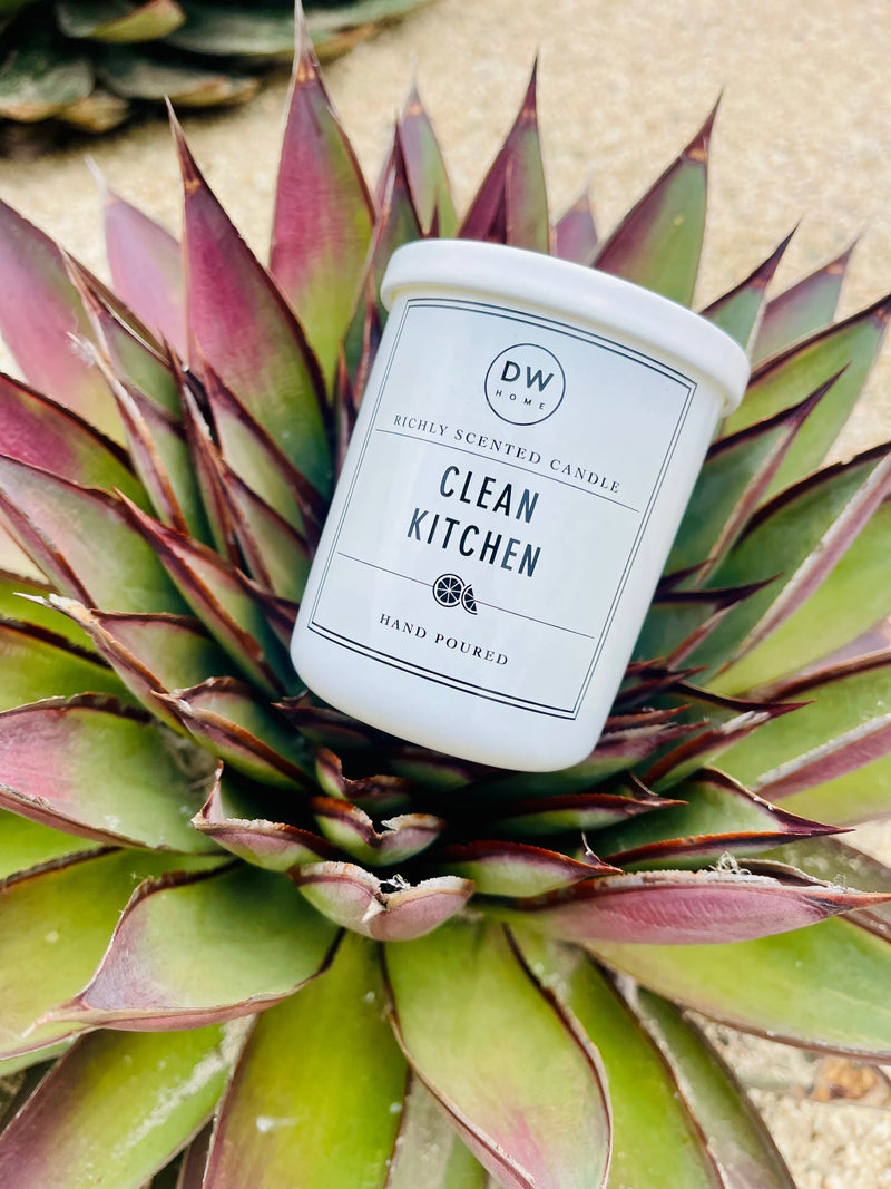 CLEAN KITCHEN MINI CANDLE on a plant, infused with refreshing lime zest aroma