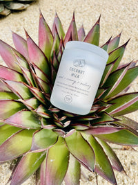 Coconut Milk Mini Candle atop a plant, enhancing boho decor with a flowy aesthetic
