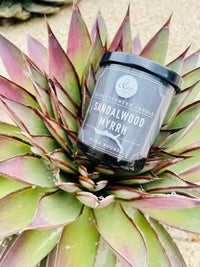 Candle atop plant showcasing Sandalwood Myrrh Mini Candle for aromatic ambiance