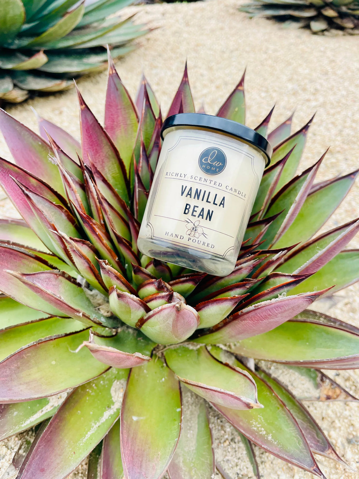 Vanilla Bean Mini Candle atop a plant, enhancing decor with creamy vodka aroma