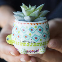 Tiny faux succulents in ceramic turtle planter with boho geometric patterns