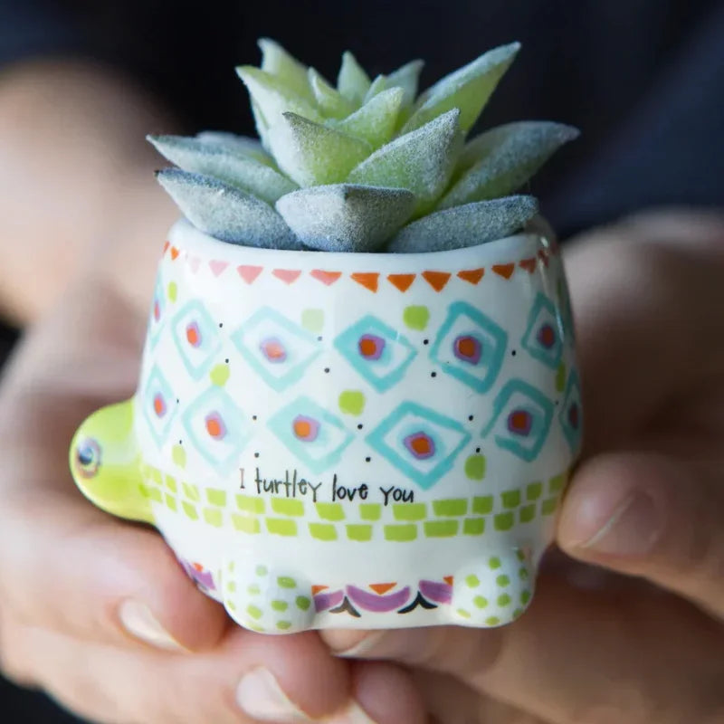 Tiny faux succulents in ceramic turtle planter with boho geometric patterns