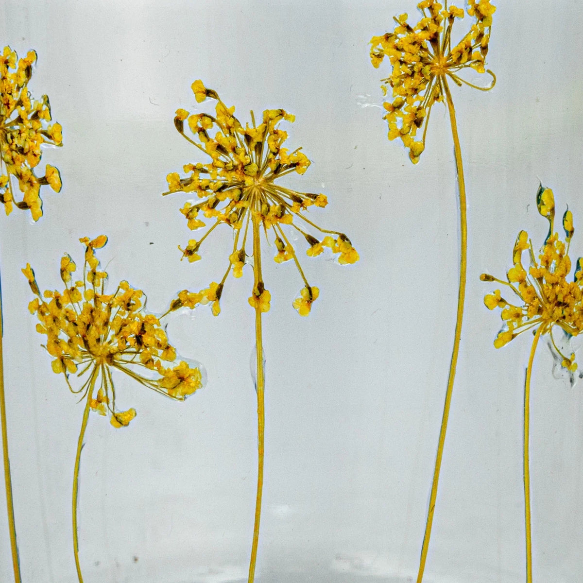 Close-up of a glass vase with flowers in a Wood Tray Embossed Glass Tealight holder