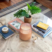 Coffee table with Sweet Grace Jumbo Candle, books, a plant, and candlelight ambiance