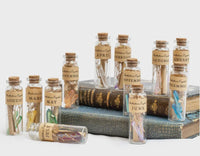 Birthstone crystal wishing bottle with labeled crystals and botanicals for each month