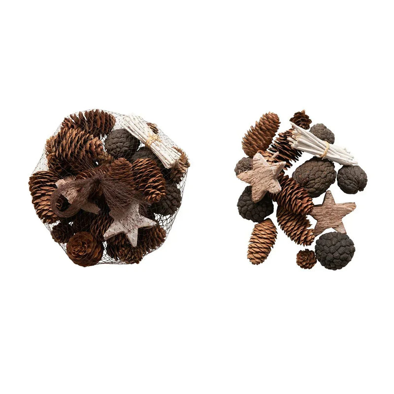 Collection of dried natural pinecones, pods, and stars showcasing forest elements