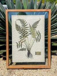 Framed botanical print wood featuring pressed fern leaves on textured paper