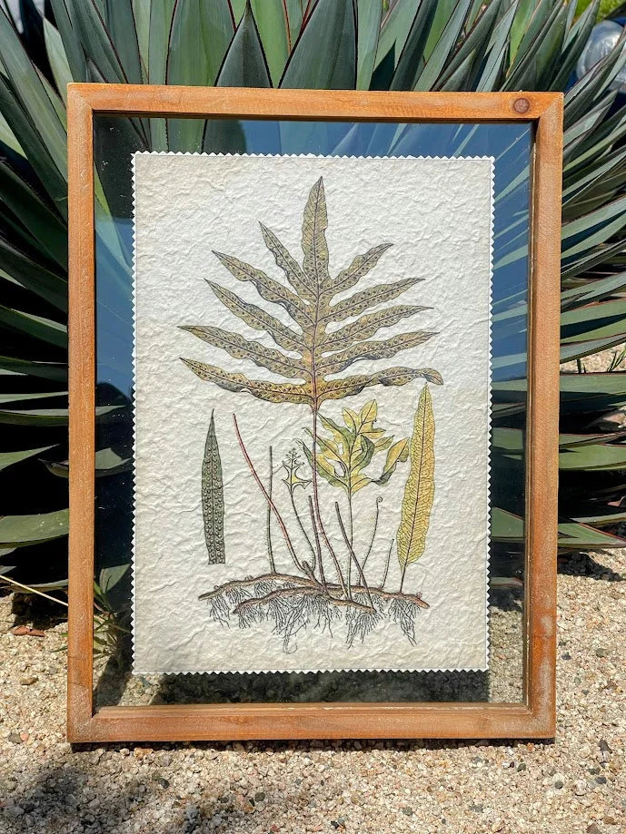 Framed botanical print wood featuring fern and plant specimens on textured paper