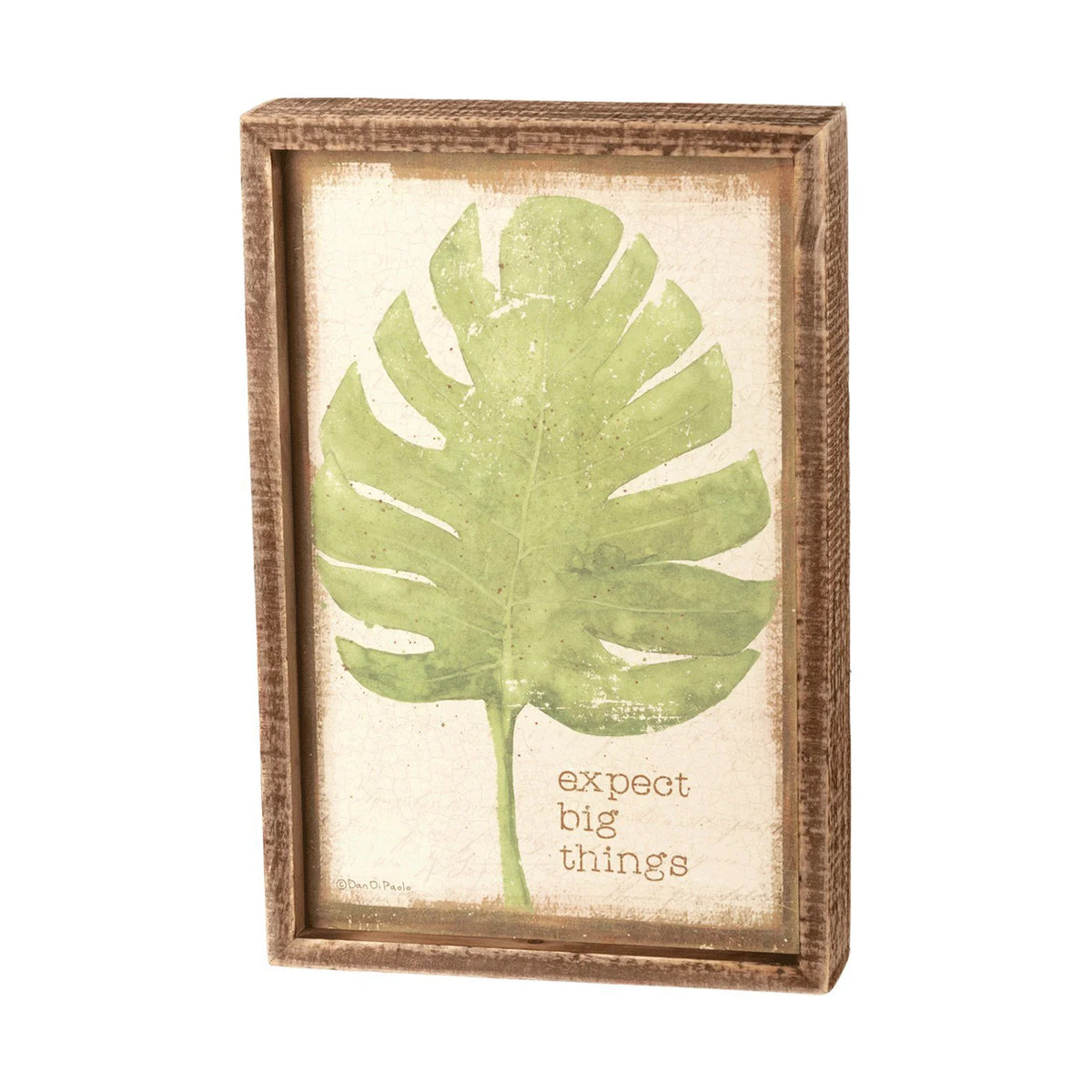 Framed picture of a green leaf with EXPECT BIG THINGS INSET BOX SIGN design