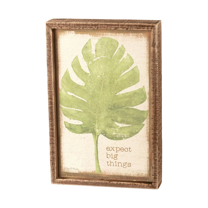 Framed picture of a green leaf with EXPECT BIG THINGS INSET BOX SIGN design