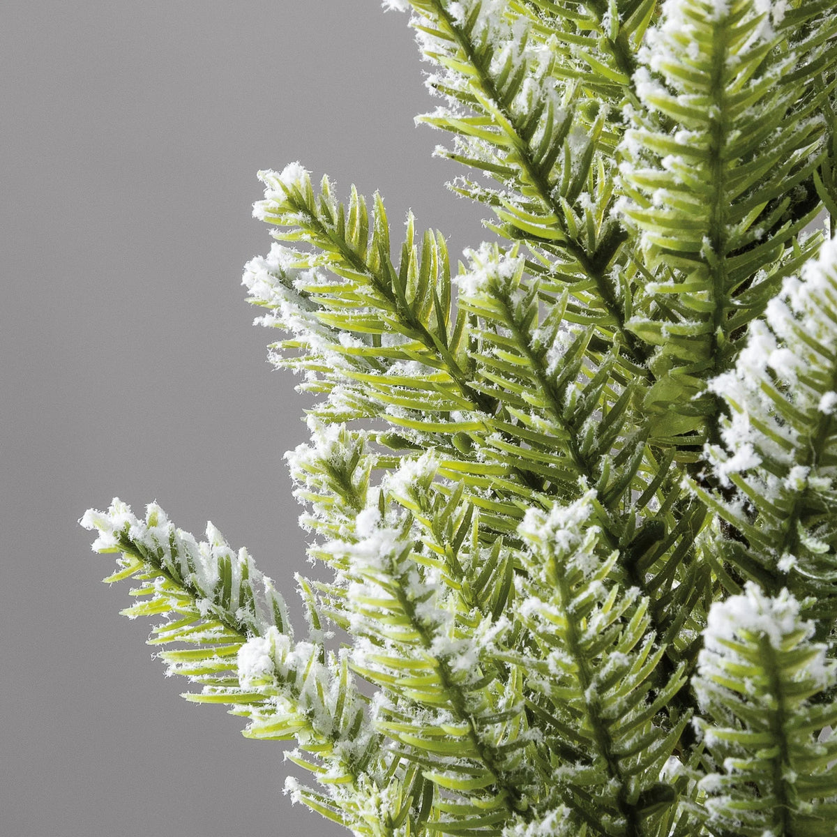 Frost-covered evergreen branches of a flocked mini Christmas tree with ice crystals