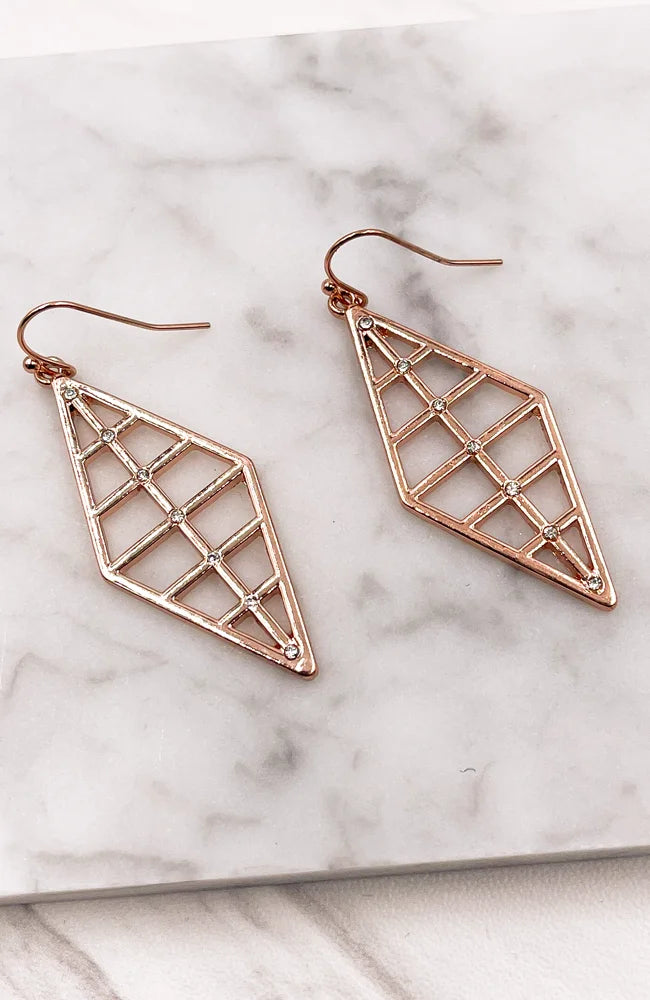 Rose Gold Cage Earrings showcasing unique geometric design ideal for elegant styles