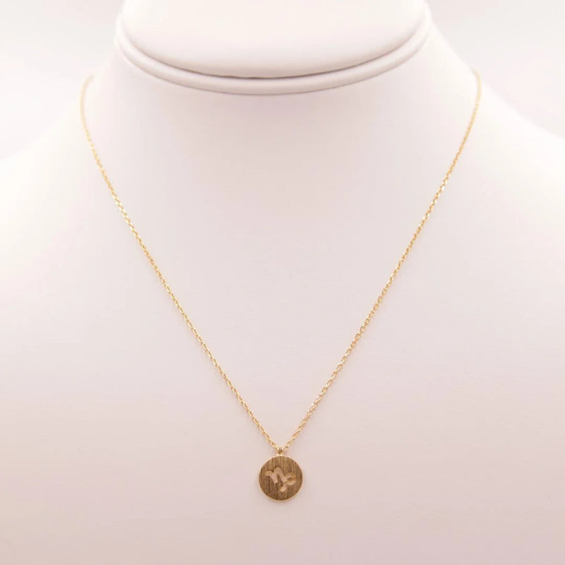 Gold Capricorn Zodiac Sign Necklace featuring a small coin charm for astrological lovers