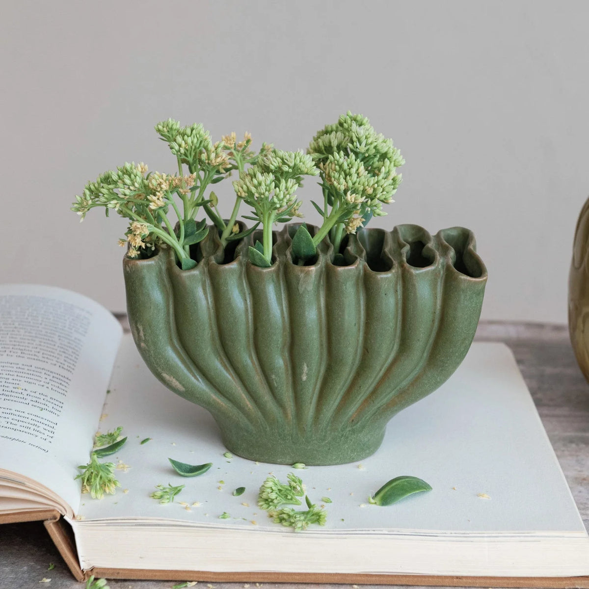 Green ceramic planter with scalloped edge design for a boho-inspired decor