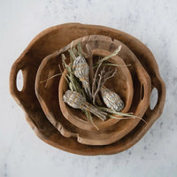 Nested teak wood bowls with handles showcasing dried botanical elements