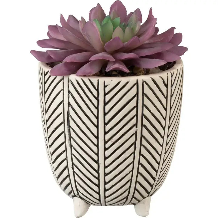 Purple succulent in a herringbone pattern stoneware planter from the Daisy Lane Collection