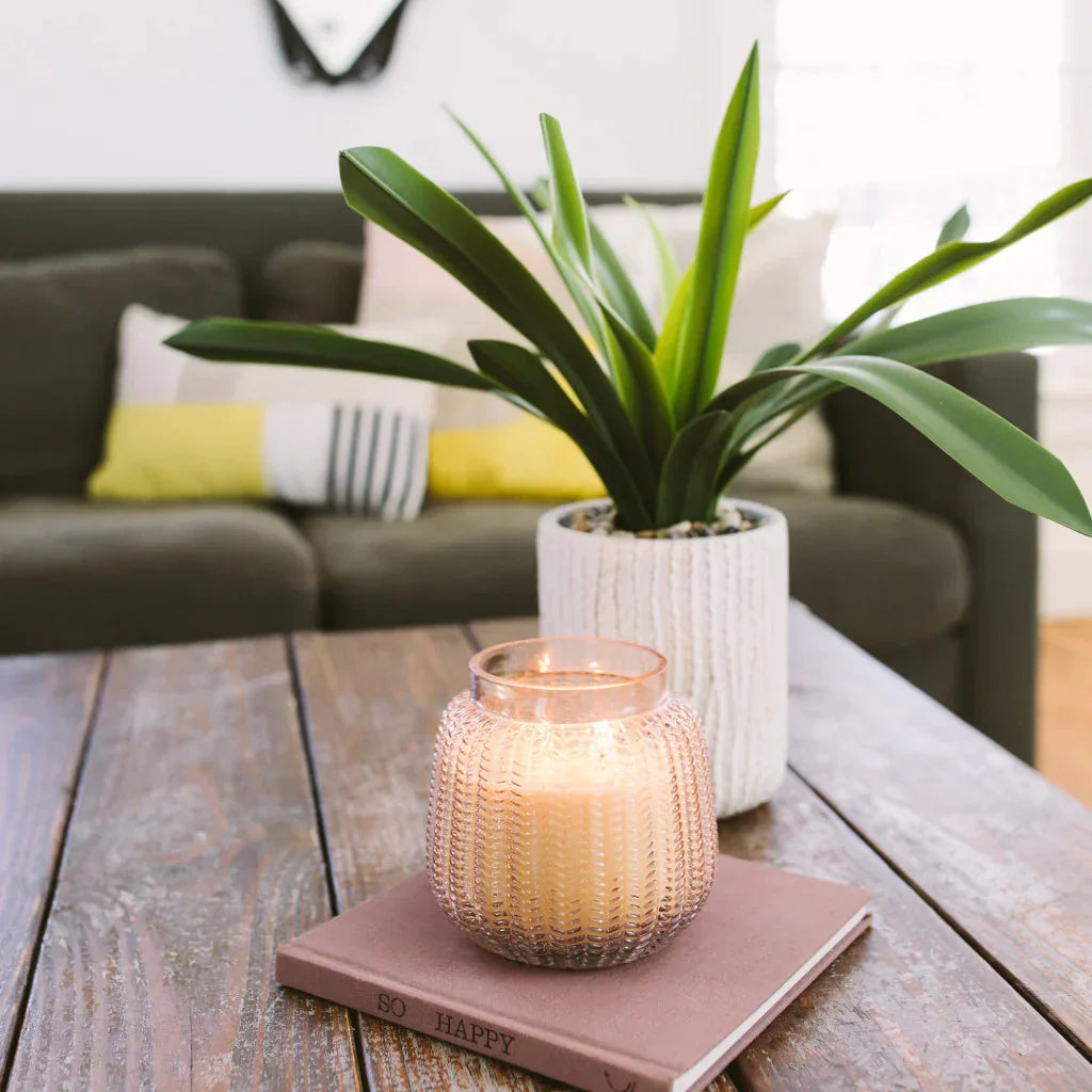 Small plant on wooden table beside Sweet Grace Candle in pink glass, Passion Fruit & Patchouli