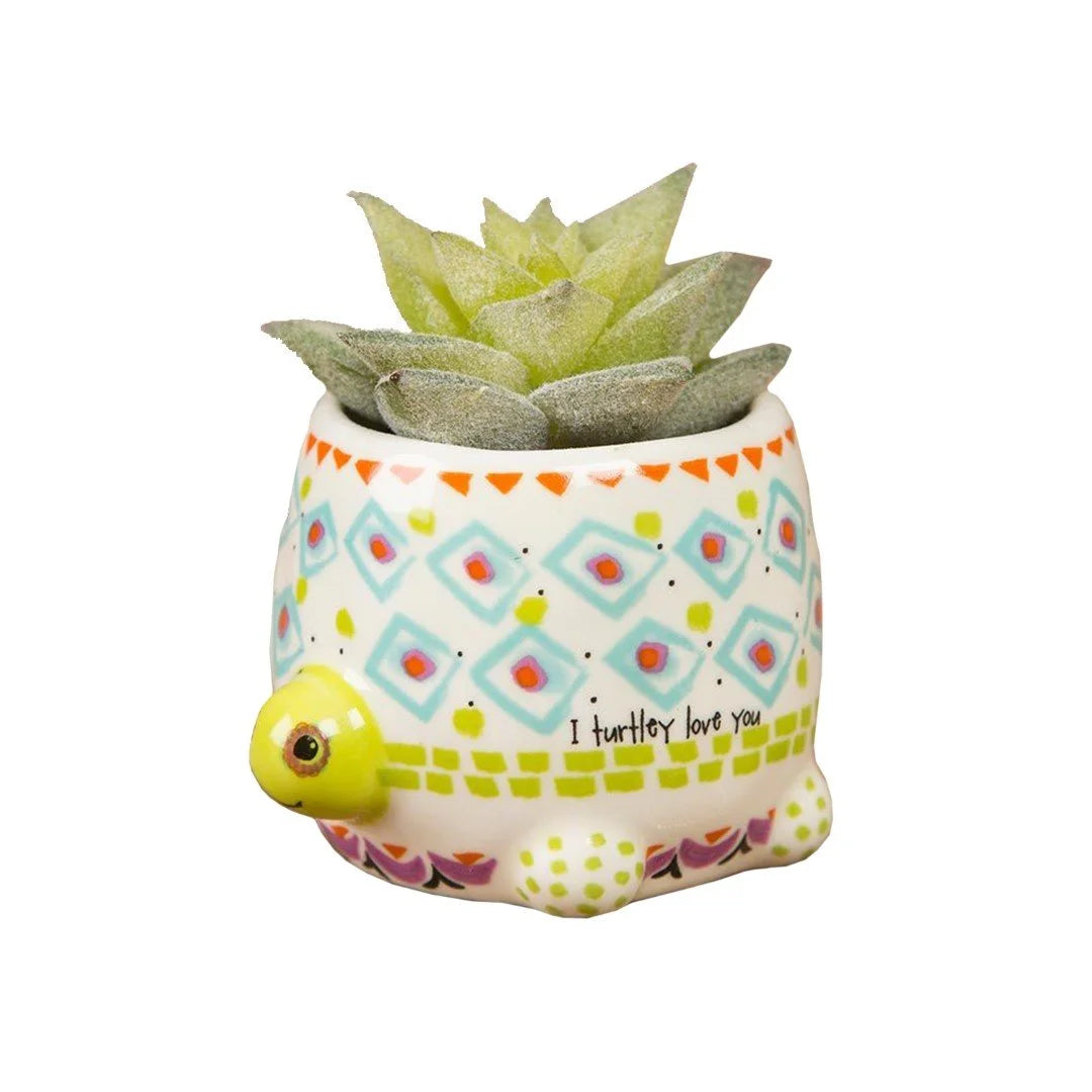 Small pot with plant from Daisy Lane’s I Turtley Love You Faux Critter Succulent