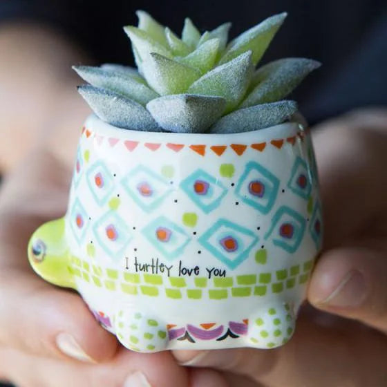 Small pot featuring a Sui Sui plant in Daisy Lane Faux Critter Succulent design