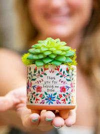 Succulent in a floral-decorated pot for MINI ARTISAN PLANTER - THANK YOU, perfect for women’s boho chic clothing from Shop Daisy