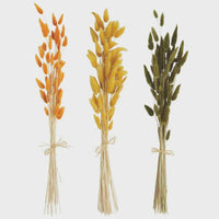 Three colorful bundles of dried wheat in a BUNNY TAIL BUNDLE STEMS, perfect for women’s boho chic clothing