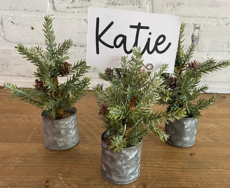 Three small potted evergreen plants as stylish place card holders for events