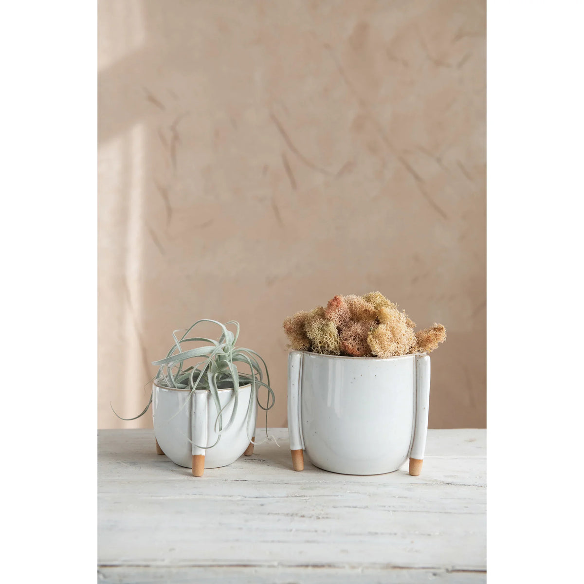 Two white stoneware footed planters with wooden feet featuring an air plant and moss