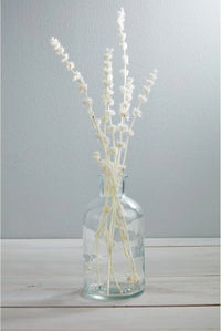 White delicate flowers in a clear glass jar with Lions Grass Stalks